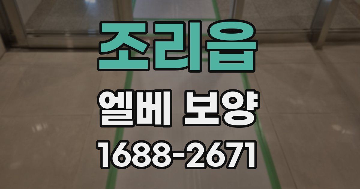 조리읍 엘베 보양