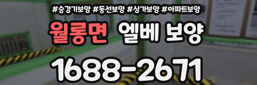 월롱면 엘베 보양