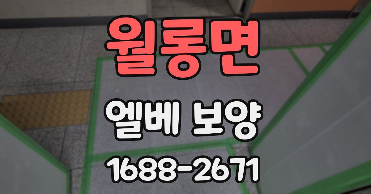 월롱면 엘베 보양