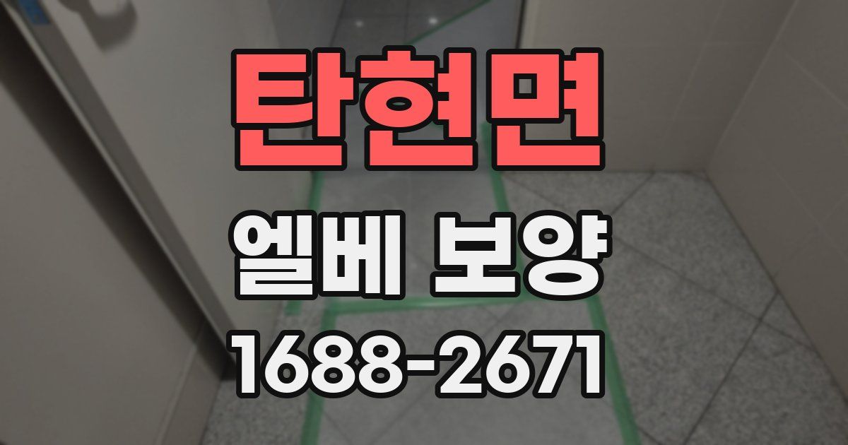 탄현면 엘베 보양