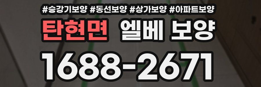 탄현면 엘베 보양