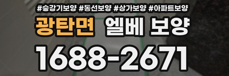 광탄면 엘베 보양