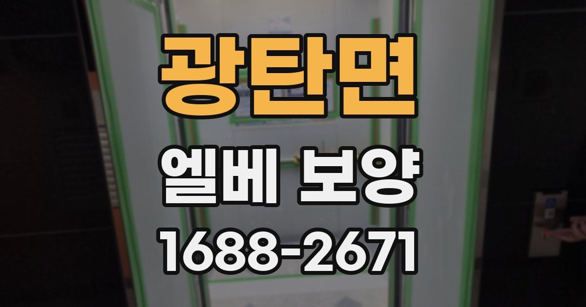 광탄면 엘베 보양
