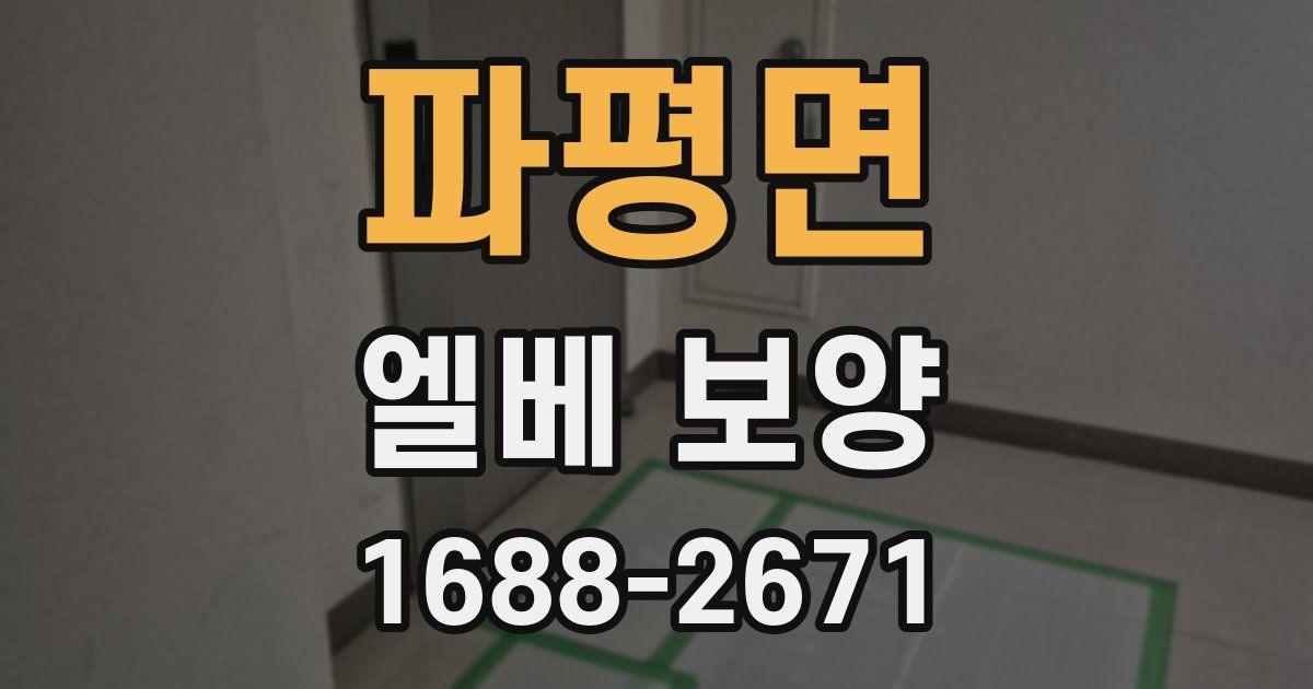 파평면 엘베 보양