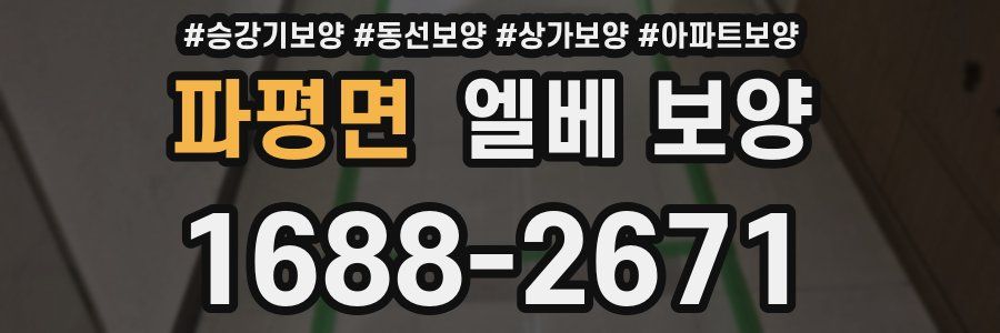 파평면 엘베 보양