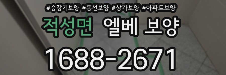 적성면 엘베 보양