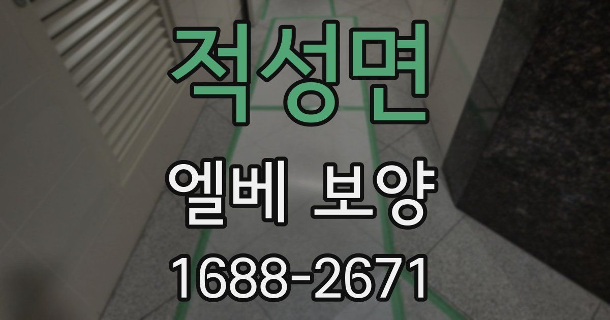 적성면 엘베 보양