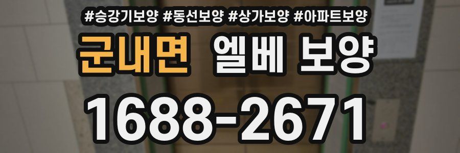 군내면 엘베 보양