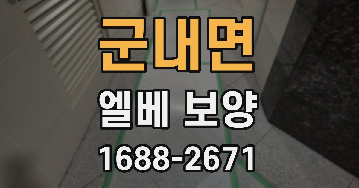 군내면 엘베 보양