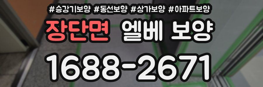장단면 엘베 보양