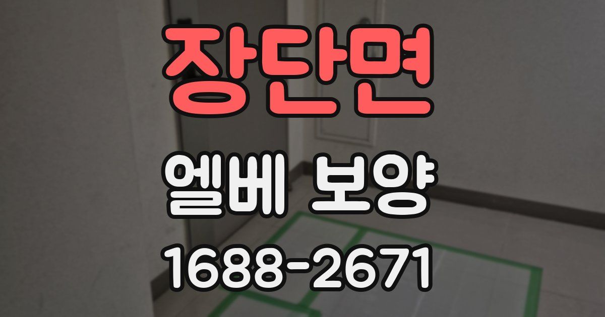 장단면 엘베 보양