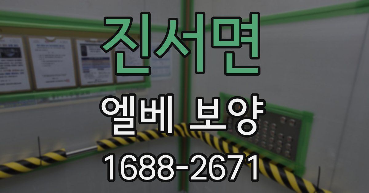진서면 엘베 보양