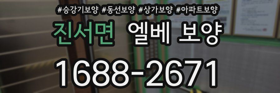 진서면 엘베 보양