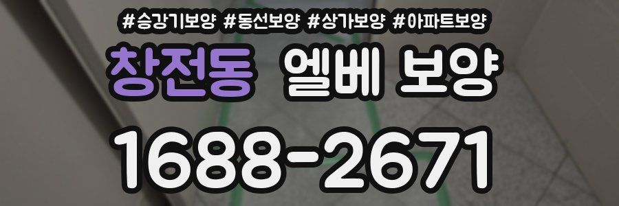 창전동 엘베 보양