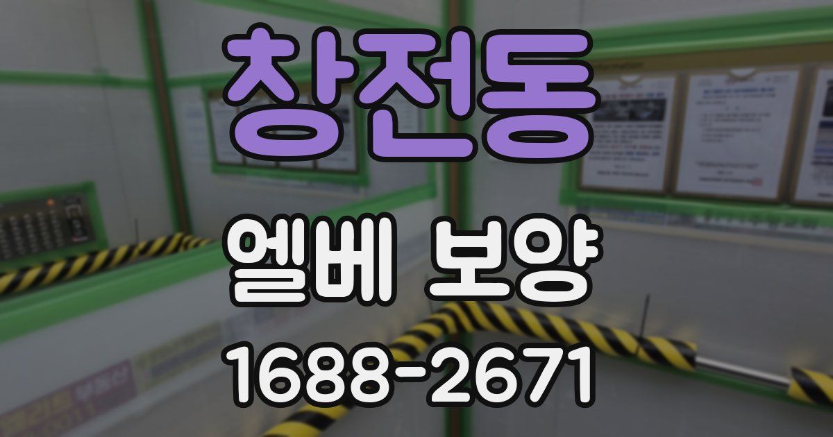 창전동 엘베 보양