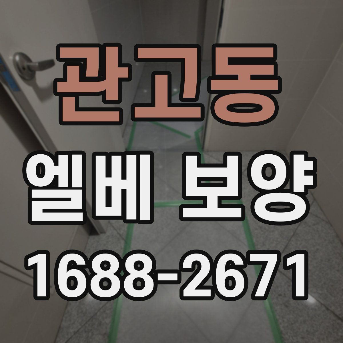관고동 엘베 보양 공용부 동선이 겹칠 때 먼저 볼 곳