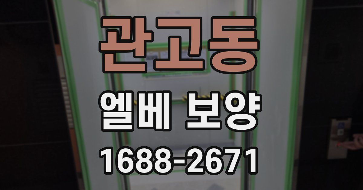 관고동 엘베 보양