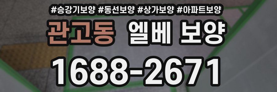 관고동 엘베 보양