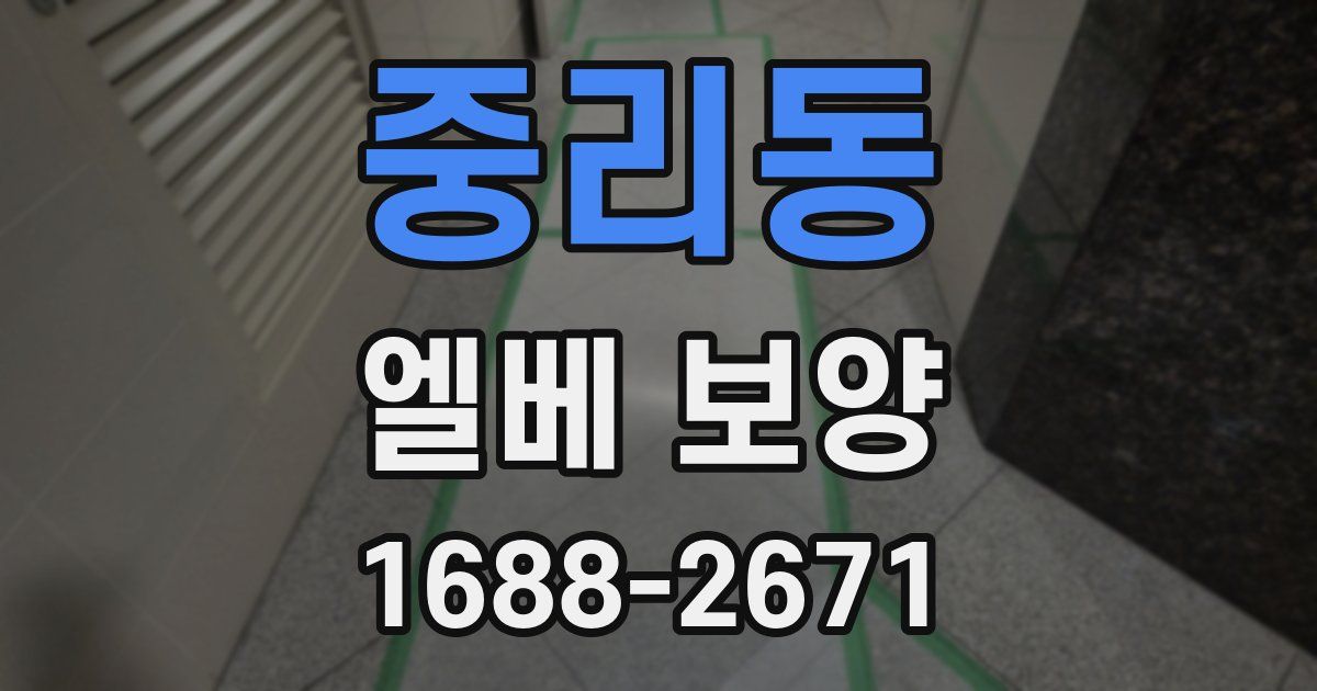 중리동 엘베 보양