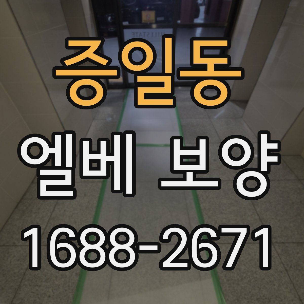 증일동 엘베 보양 공사 초기에 우선 확인할 보호 구간