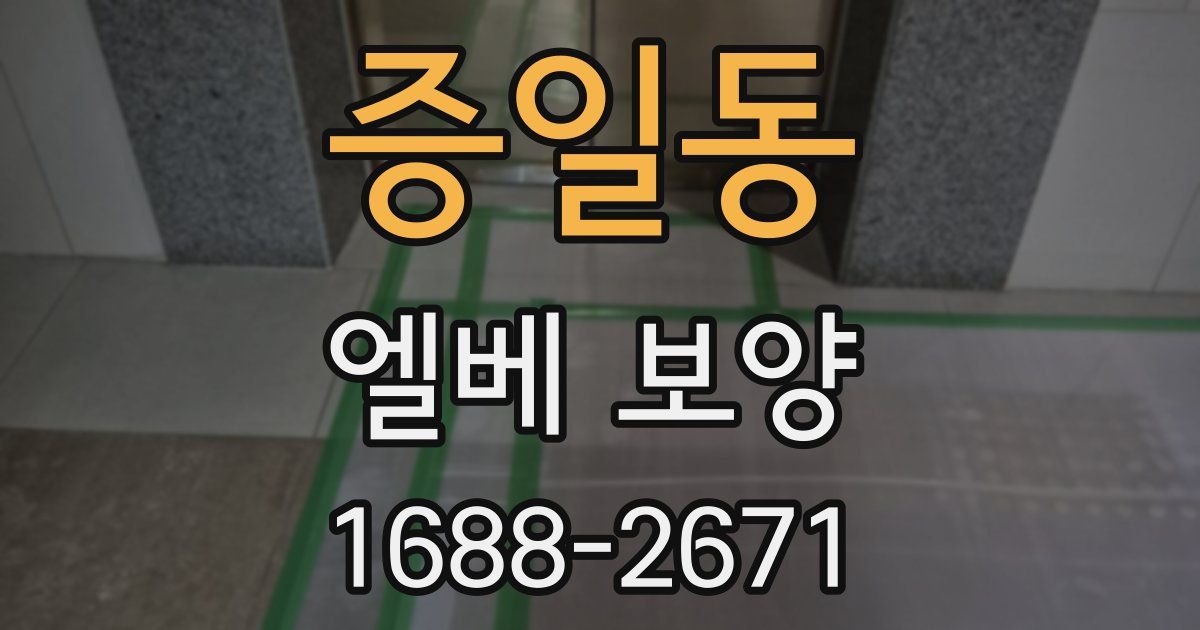 증일동 엘베 보양