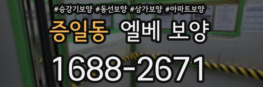 증일동 엘베 보양