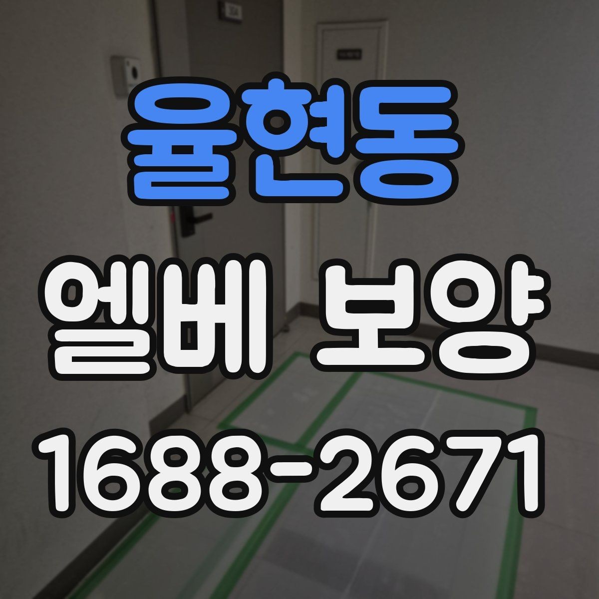 율현동 엘베 보양 판넬과 시트를 구분해 쓰는 적용 기준