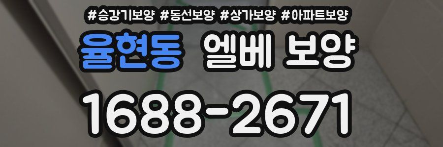 율현동 엘베 보양