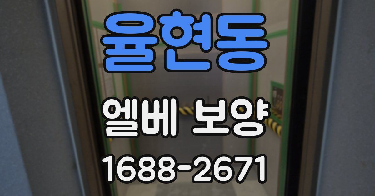 율현동 엘베 보양
