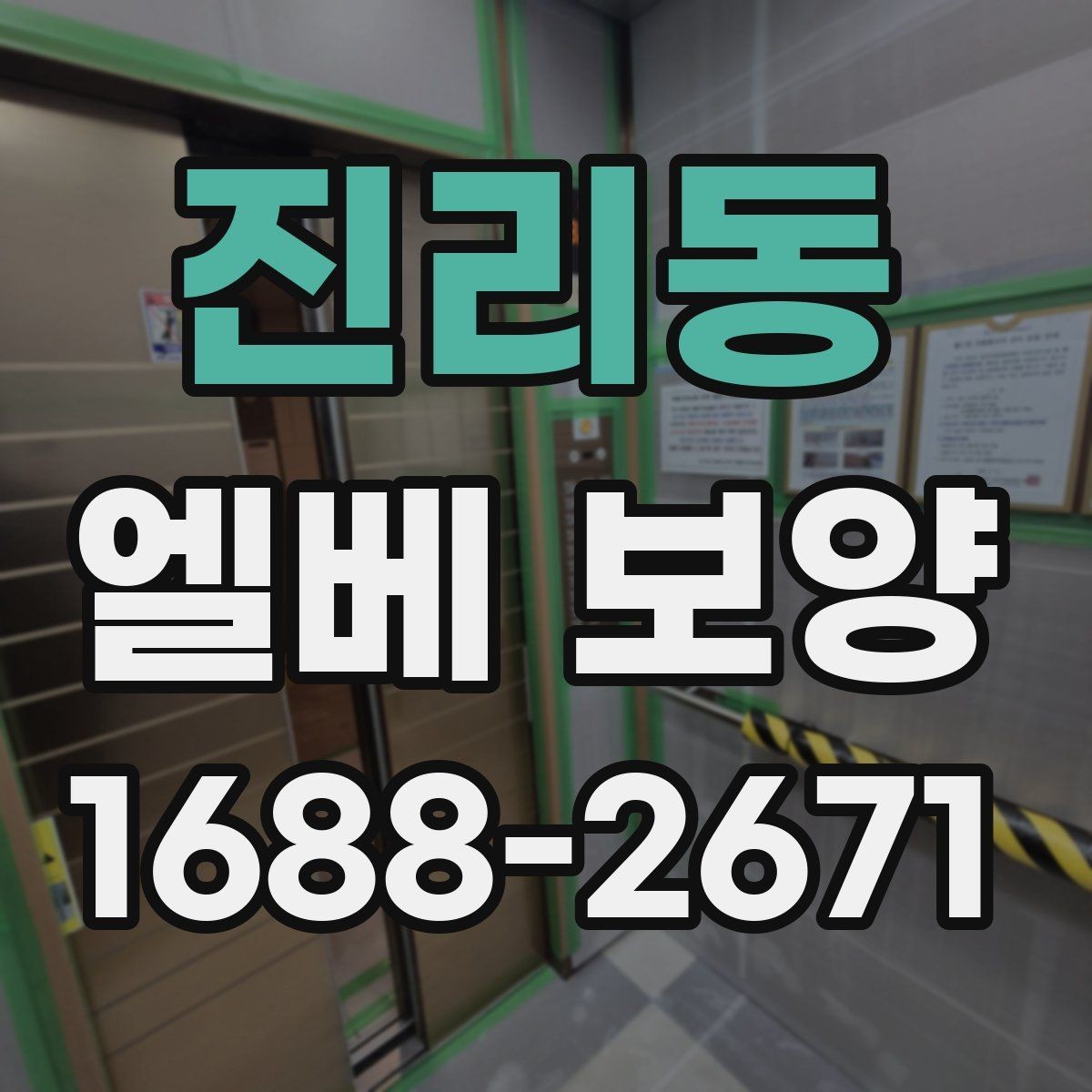 진리동 엘베 보양 승강기 내외부 손상 줄이는 적용 범위