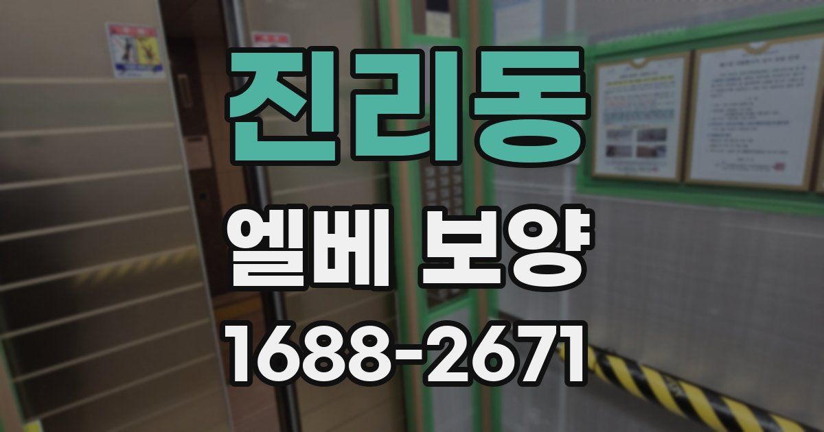 진리동 엘베 보양