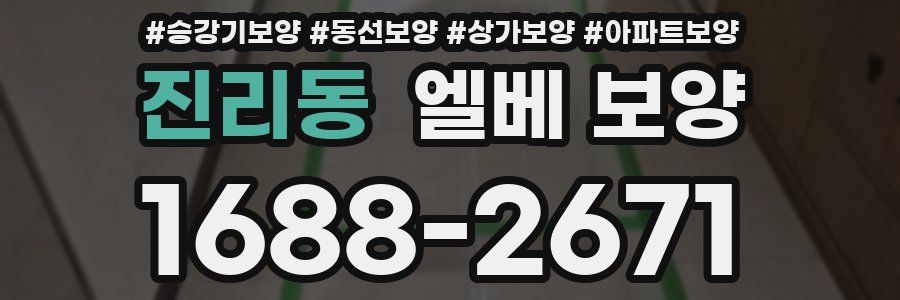 진리동 엘베 보양