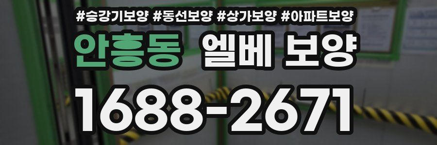 안흥동 엘베 보양