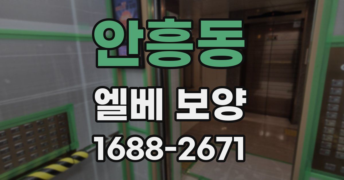 안흥동 엘베 보양
