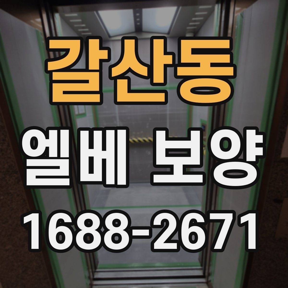 갈산동 엘베 보양 고정 테이프와 부자재를 고를 때 확인할 항목