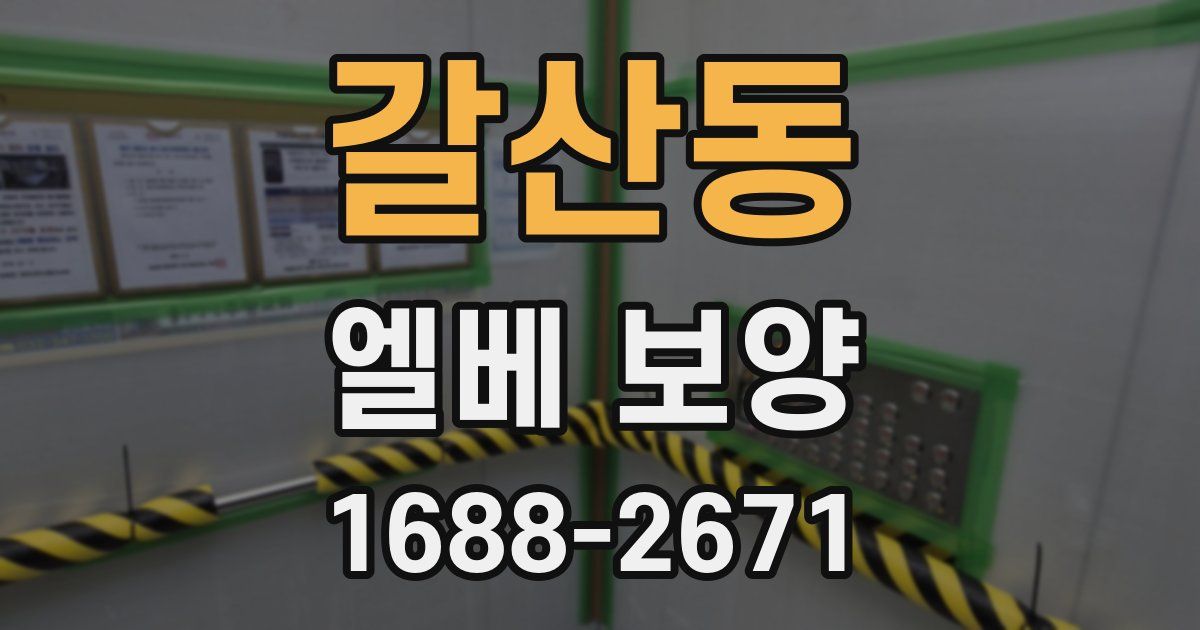 갈산동 엘베 보양
