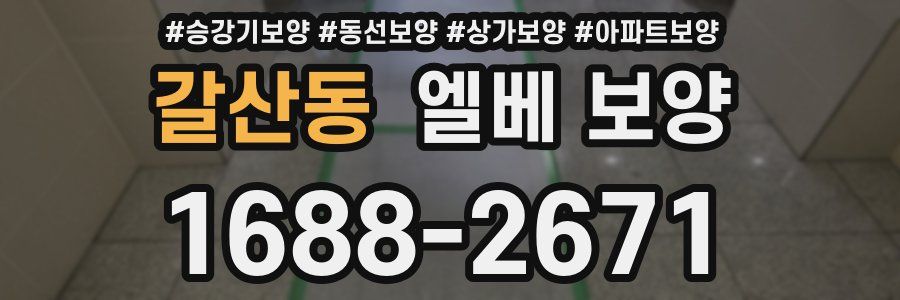 갈산동 엘베 보양
