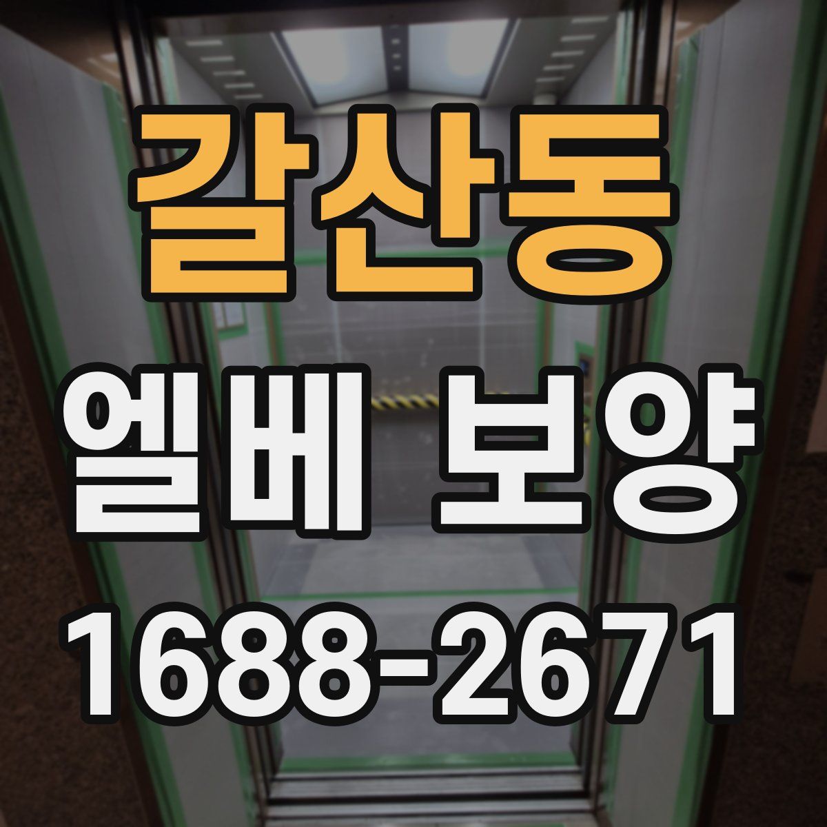 갈산동 엘베 보양