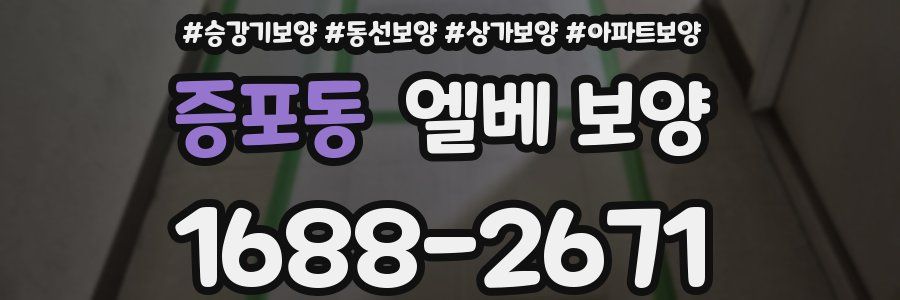 증포동 엘베 보양