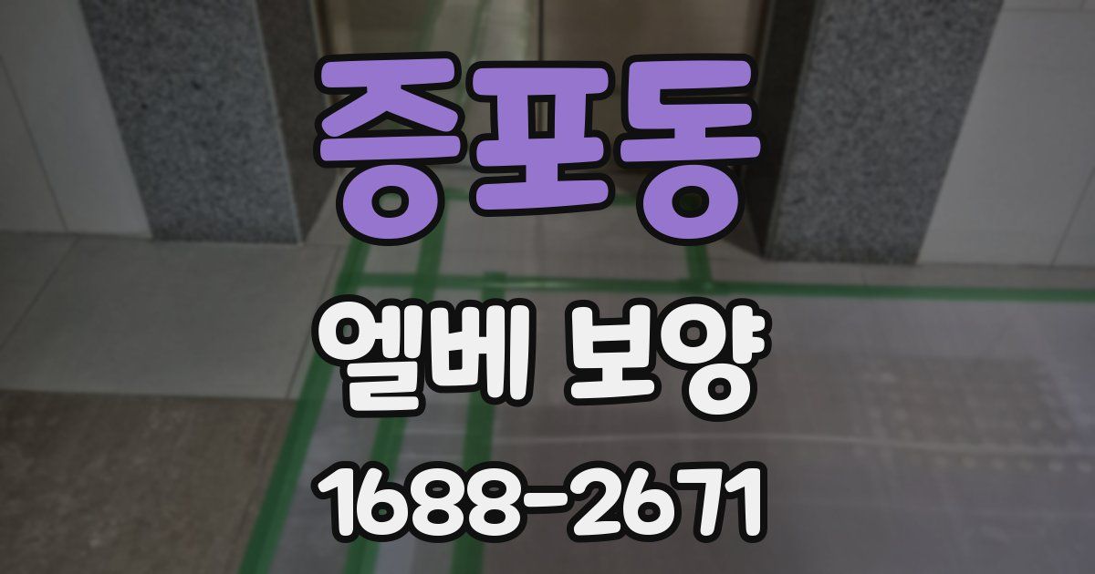 증포동 엘베 보양