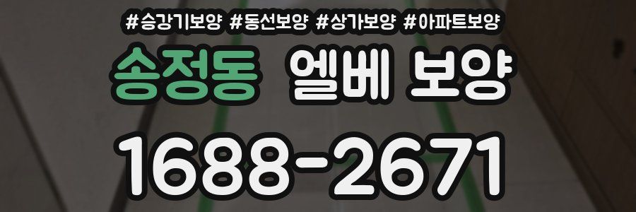 송정동 엘베 보양