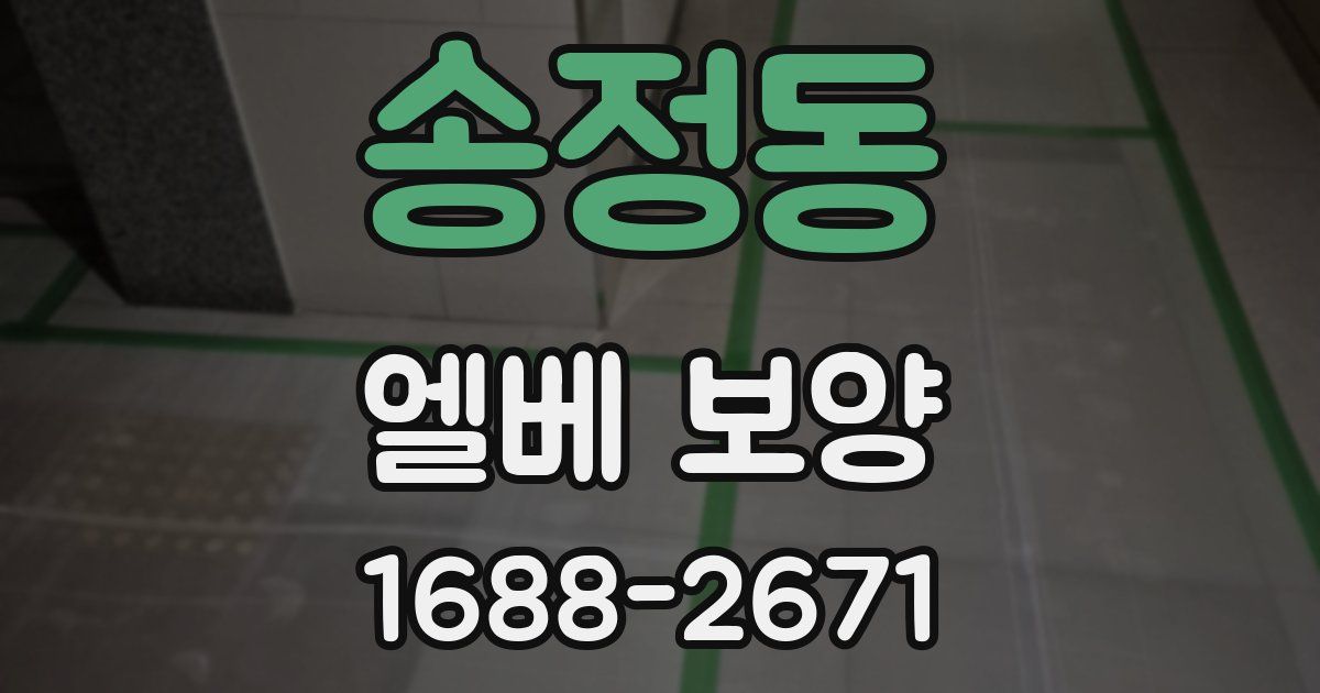 송정동 엘베 보양
