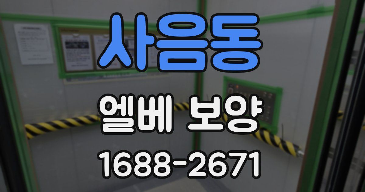 사음동 엘베 보양