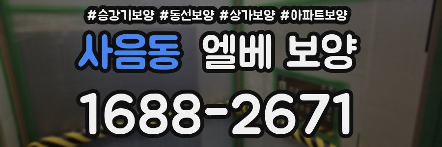 사음동 엘베 보양
