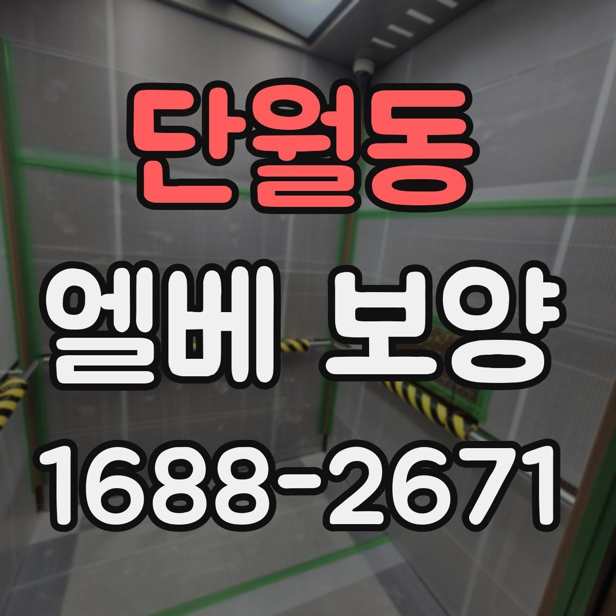 단월동 엘베 보양 엘리베이터 내부 오염원 차단 포인트