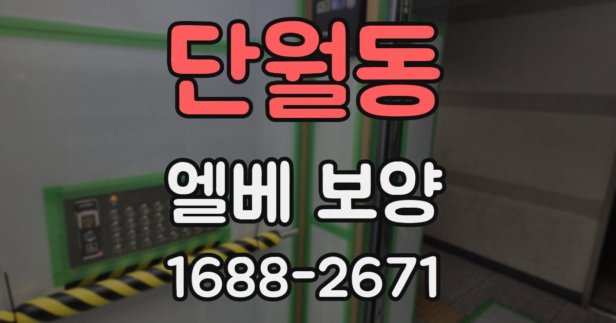 단월동 엘베 보양