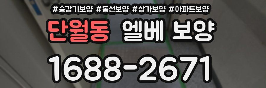단월동 엘베 보양
