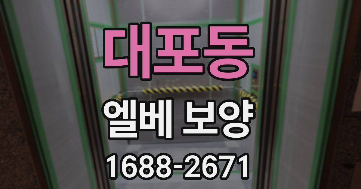 대포동 엘베 보양