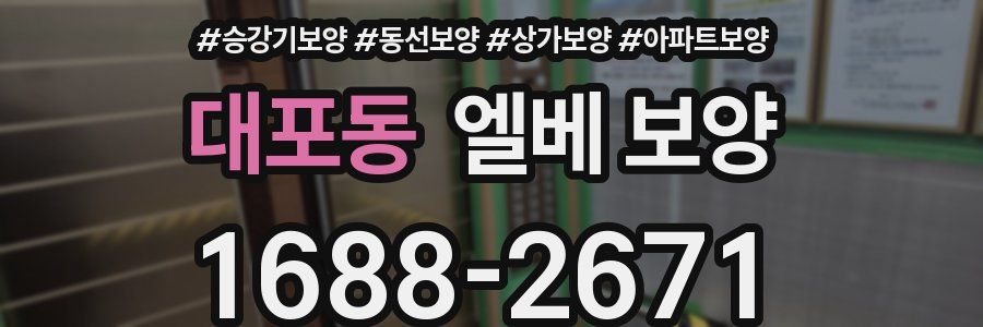 대포동 엘베 보양