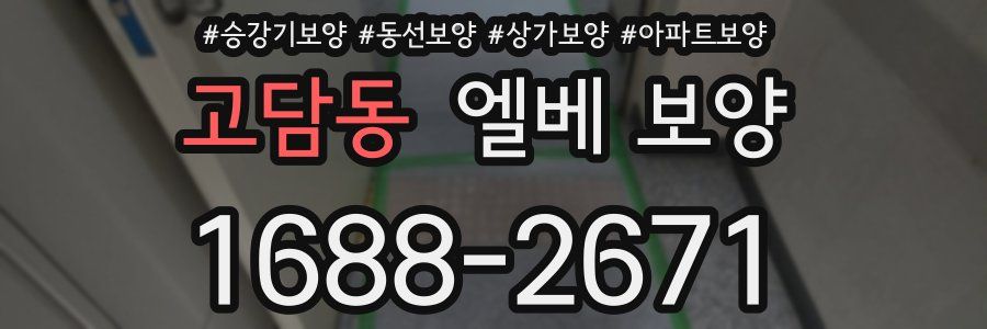 고담동 엘베 보양
